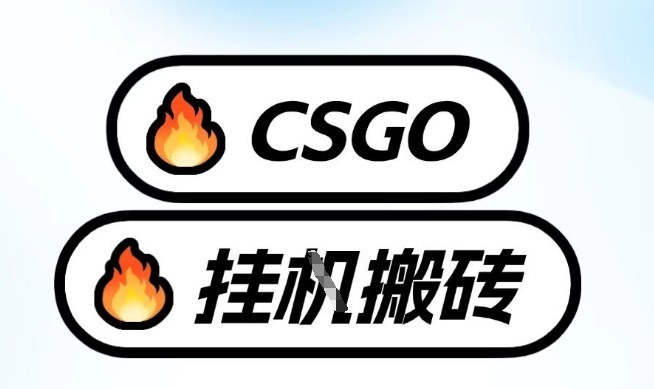 真全网独家CSGO挂G，最新玩法,单日捡漏1K+，不用电脑，不用打游戏【揭秘】-轻资本网