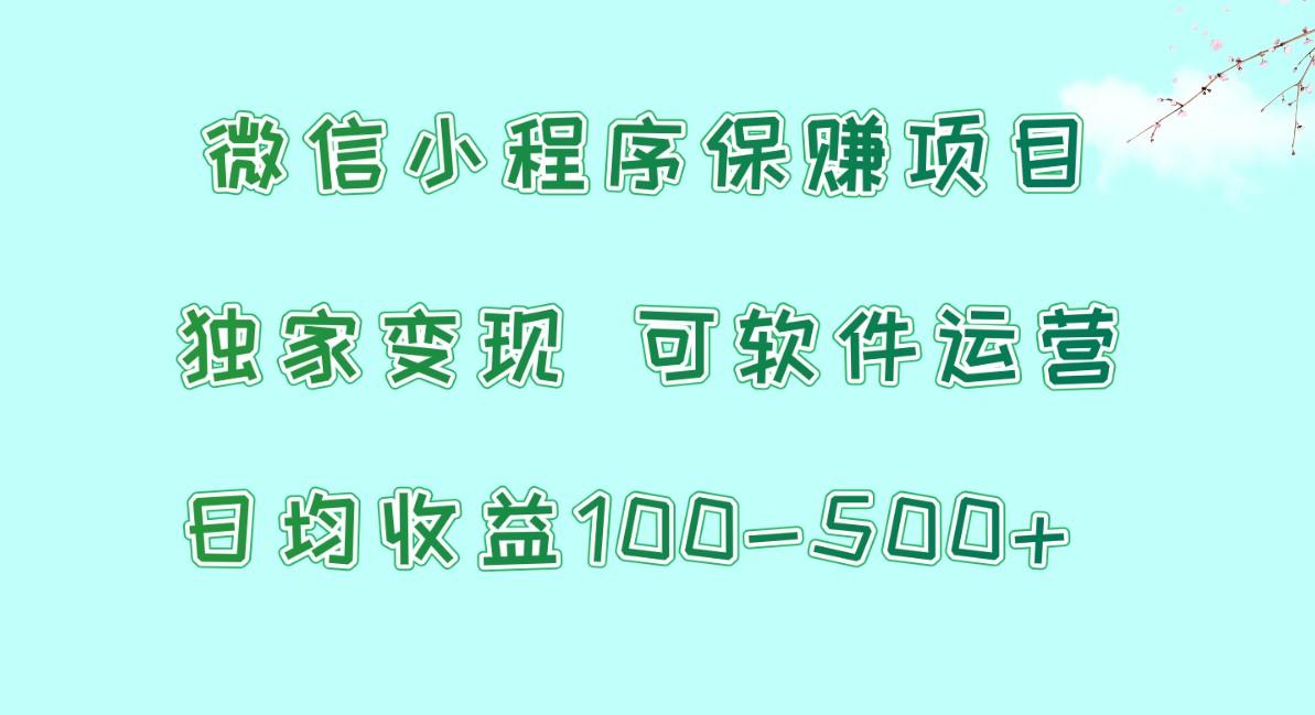 微信小程序保赚项目，日均收益100~500+，独家变现，可软件运营-轻资本网