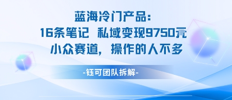 蓝海项目：16条笔记私域变现9750米小众赛道操作的人不多-轻资本网
