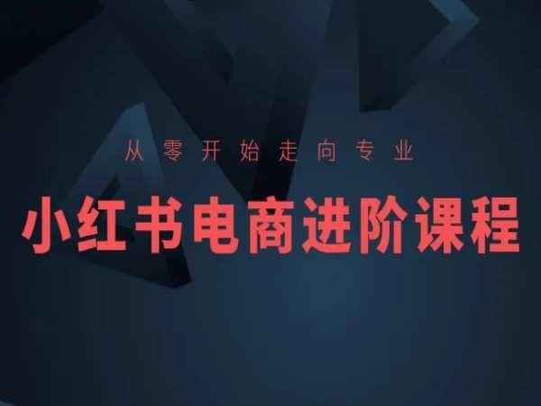 从零开始走向专业，小红书电商进阶课程-轻资本网