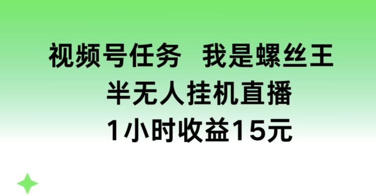 视频号任务，我是螺丝王， 半无人挂机1小时收益15元【揭秘】-轻资本网
