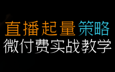 半野老师·直播带货起量与微付费必学课视频号(更新2026)-轻资本网