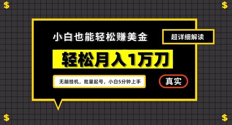 谷歌看广告撸美金2.0，无脑挂机，多号操作，月入1万刀【揭秘】-轻资本网