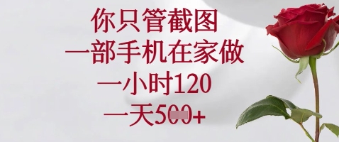 你只管截图，一部手机在家做，苹果安卓都可以，一小时120，一天5张+【揭秘】-轻资本网