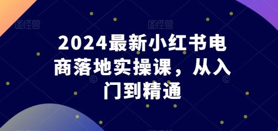 2024最新小红书电商落地实操课，从入门到精通-轻资本网