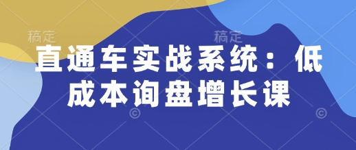 直通车实战系统：低成本询盘增长课，让个人通过技能实现升职加薪，让企业低成本获客，订单源源不断-轻资本网