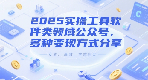 2025实操工具软件类领域公众号，多种变现方式分享-轻资本网