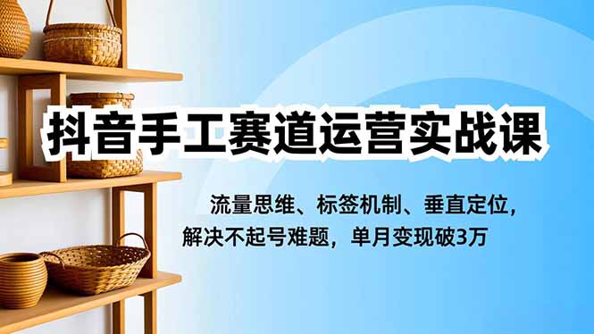 抖音手工赛道运营实战课，流量思维、标签机制、垂直定位，解决不起号难题，单月变现破3万-轻资本网