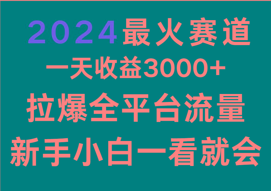 2024最火赛道，一天收一3000+.拉爆全平台流量，新手小白一看就会-轻资本网