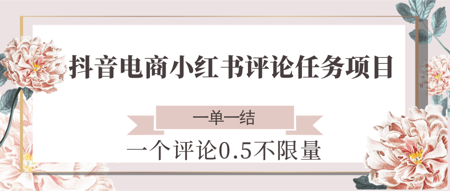 抖音电商小红书评论任务项目，一个评论0.5，一单一结 不限量-轻资本网