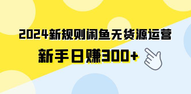(9522期)2024新规则闲鱼无货源运营新手日赚300+-轻资本网