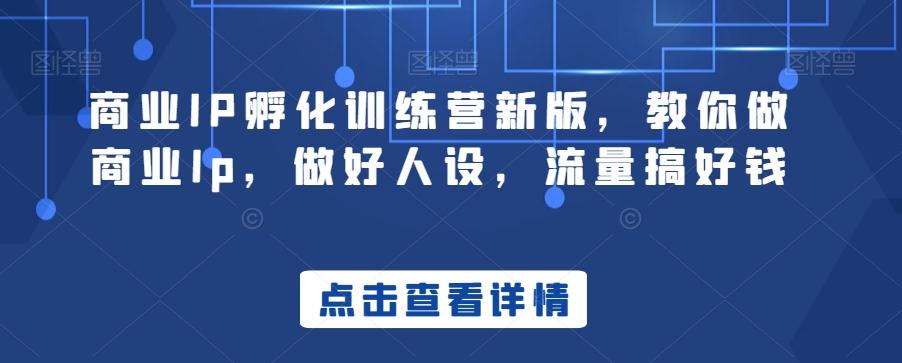 商业IP孵化训练营新版，教你做商业Ip，做好人设，流量搞好钱-轻资本网