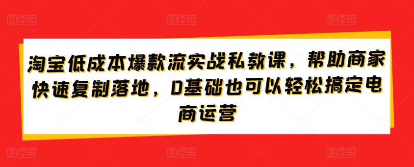 淘宝低成本爆款流实战私教课，帮助商家快速复制落地，0基础也可以轻松搞定电商运营-轻资本网