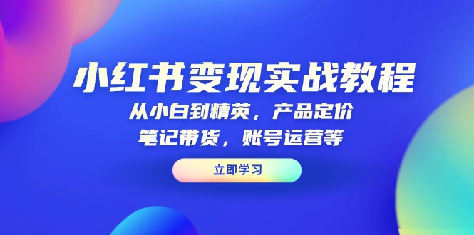 小红书变现实战教程：从小白到精英，产品定价，笔记带货，账号运营等-轻资本网