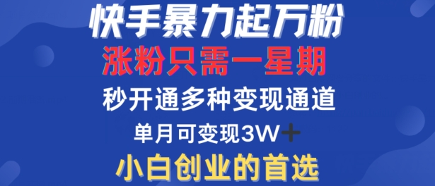 快手暴力起万粉，涨粉只需一星期，多种变现模式，直接秒开万合，单月变现过W【揭秘】-轻资本网