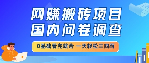 网创搬砖项目，国内问卷调查，小白轻松上手，一天三四张的也不难，干就完了【揭秘】-轻资本网
