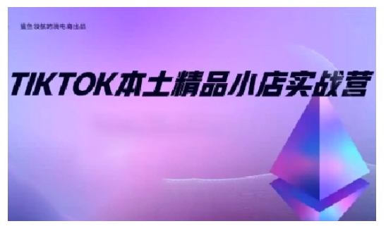 TikTok本土精品小店出海实战营，从入门到高阶，不止0-1!-轻资本网