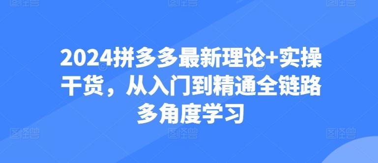 2024拼多多最新理论+实操干货，从入门到精通全链路多角度学习-轻资本网