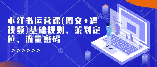 小红书运营课(图文+短视频)基础规则、策划定位、流量密码-轻资本网