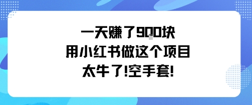 一天挣了9张用小红书做这个项目太牛了，空手套-轻资本网