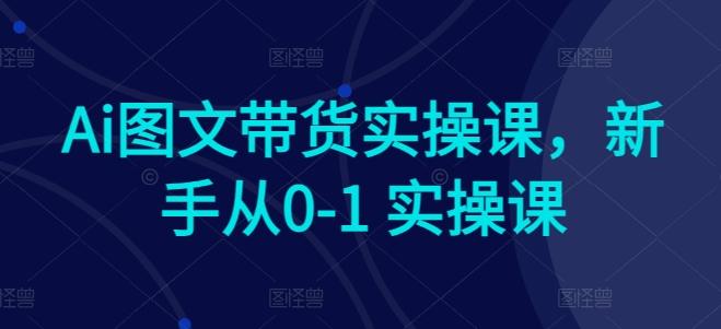 Ai图文带货实操课，新手从0-1 实操课-轻资本网