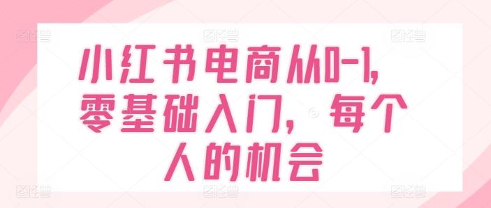 小红书电商从0-1，零基础入门，每个人的机会-轻资本网