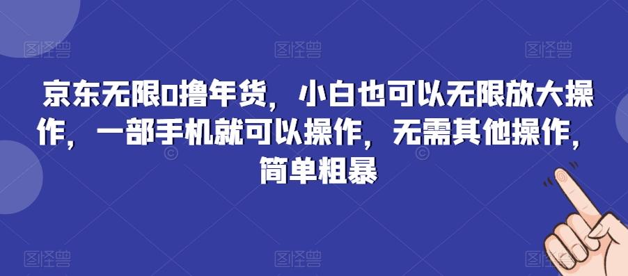 京东无限0撸年货，小白也可以无限放大操作，一部手机就可以操作，无需其他操作，简单粗暴-轻资本网