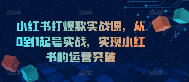 小红书打爆款实战课，从0到1起号实战，实现小红书的运营突破-轻资本网