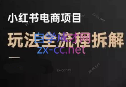 菲菲老师·小红书电商玩法(更新7月)-轻资本网