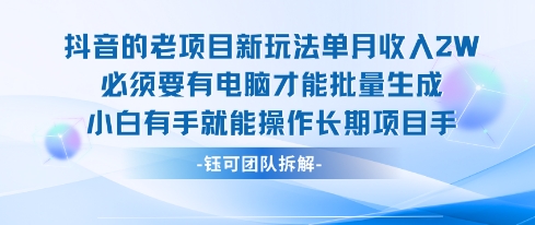 老项目新玩法单月收入2W小白有手就能操作长期项目-轻资本网