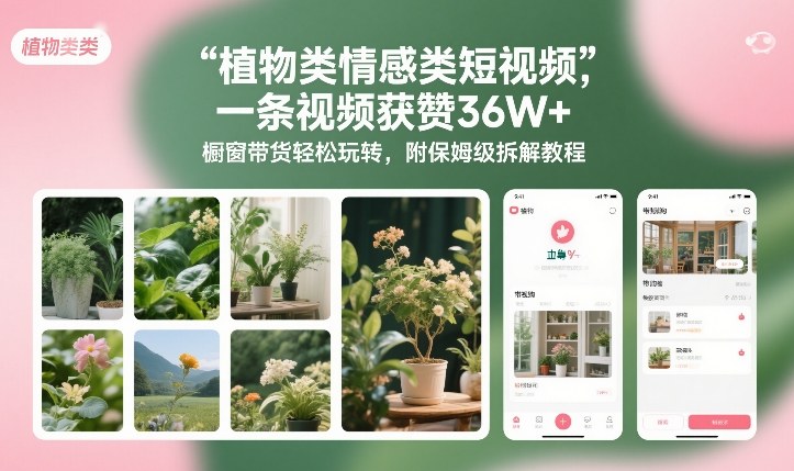 植物类情感类短视频，一条视频获赞36W+，橱窗带货轻松玩转，附保姆级拆解教程-轻资本网