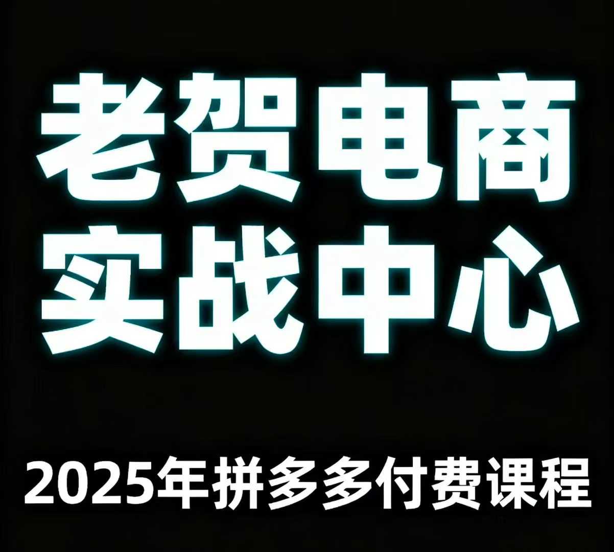 老贺电商2025年拼多多付费课程，用通俗易懂的方法告诉你多多怎么玩-轻资本网