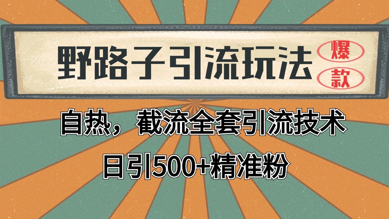 抖音小红书视频号全平台引流打法，全自动引流日引2000+精准客户-轻资本网