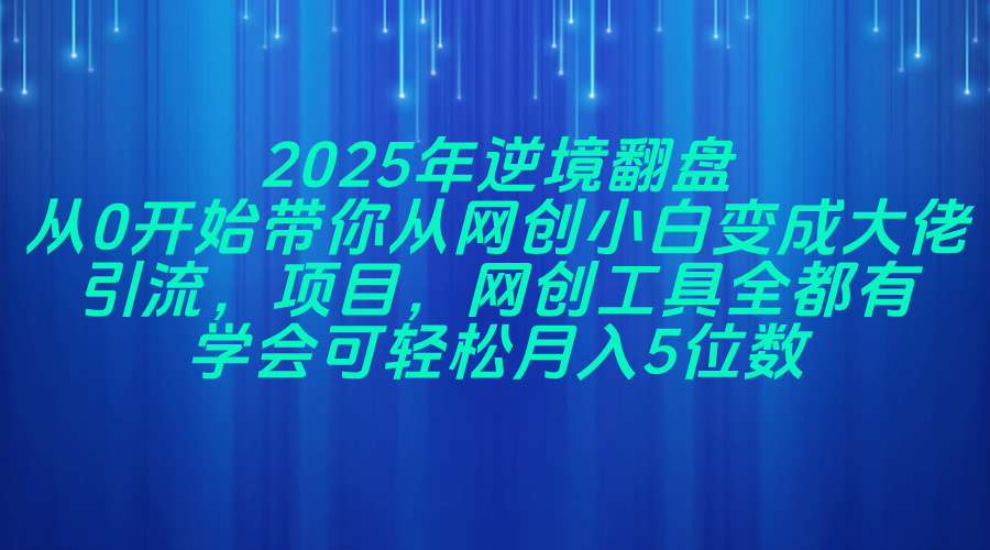 2025年逆境翻盘，从0开始带你从网创小白变成大佬，引流，项目，网创工...-轻资本网