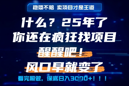 什么？25年你还在疯狂找项目做，醒醒吧，看完这些你全都懂了！【揭秘】-轻资本网