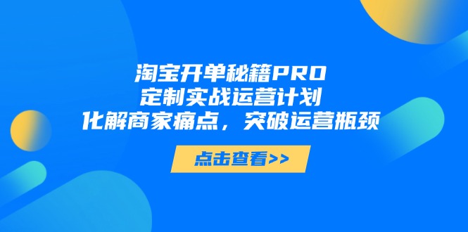 淘宝开单秘籍PRO，定制实战运营计划，化解商家痛点，突破运营瓶颈-轻资本网