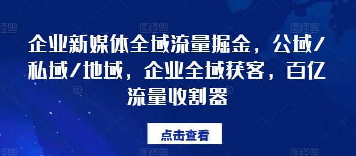 企业新媒体全域流量掘金，公域/私域/地域，企业全域获客，百亿流量收割器-轻资本网