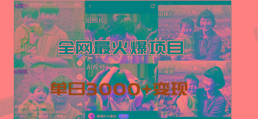 全网爆火的AI让老照片动起来教程，蹭热点日赚3000+，内含免费工具一键...-轻资本网