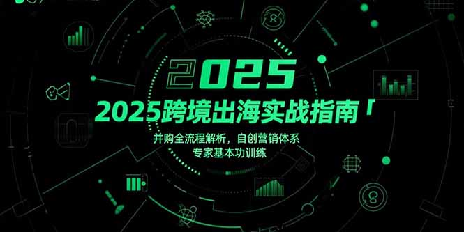 2025跨境出海实战指南，并购全流程解析，自创营销体系，专家基本功训练-轻资本网