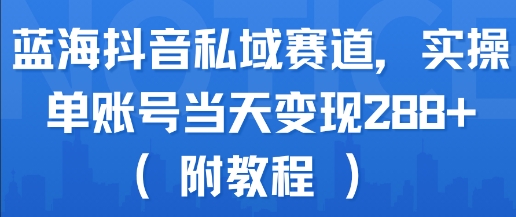 蓝海抖音私域赛道，实操单账号当天变现288+(附教程)-轻资本网