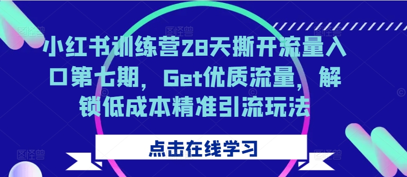 小红书训练营28天撕开流量入口第七期，Get优质流量，解锁低成本精准引流玩法-轻资本网