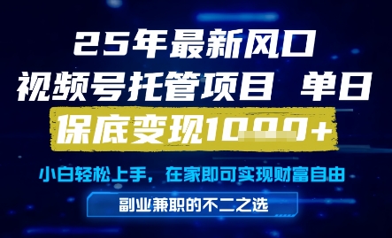 25年最新风口，视频号托管项目，单日保底变现1k+，手把手教学【揭秘】-轻资本网