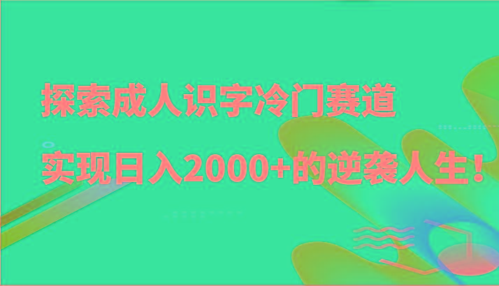 探索成人识字冷门赛道，实现日入2000+的逆袭人生！-轻资本网