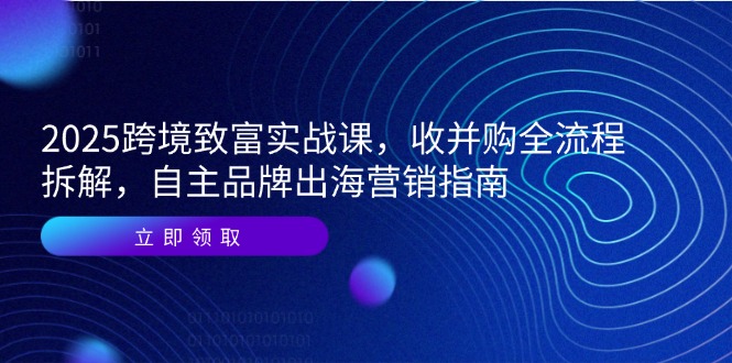 2025跨境致富实战课，收并购全流程拆解，自主品牌出海营销指南-轻资本网