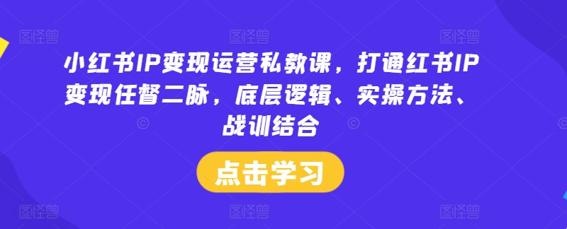 小红书IP变现运营私教课，打通红书IP变现任督二脉，底层逻辑、实操方法、战训结合-轻资本网
