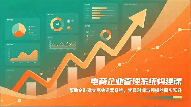 电商企业管理系统构建课：帮助企业建立高效运营系统，实现利润与规模的同步跃升-轻资本网