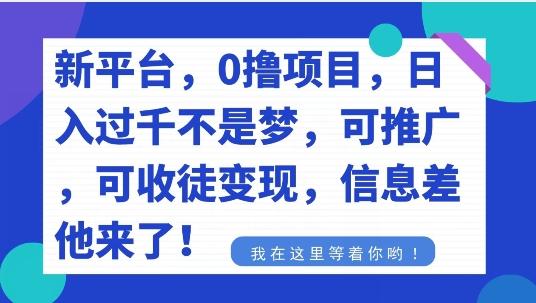 不要再花冤枉钱了，0撸项目，每天坚持，稳定1000+-轻资本网