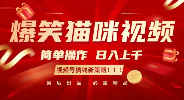 爆笑猫咪视频：简单操作，日入过K，视频号搞钱新策略【揭秘】-轻资本网