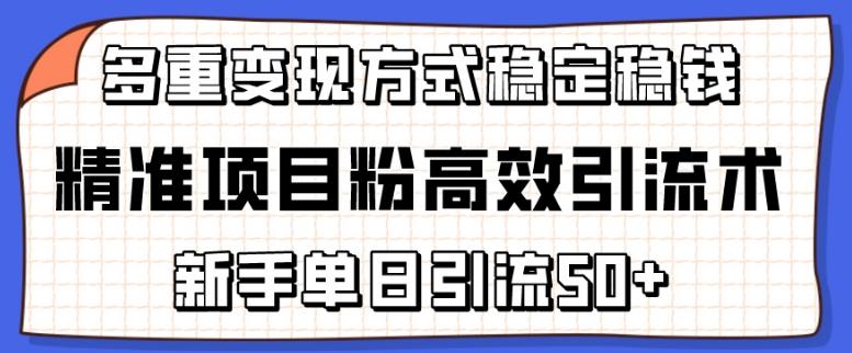 精准项目粉高效引流术，新手单日引流50+，多重变现方式稳定赚钱【揭秘】-轻资本网