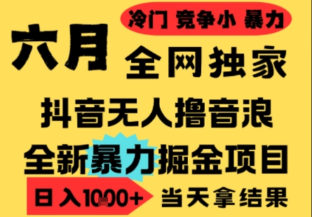 25年6月高爆抖音无人直播最新撸音浪掘金项目，小白可做，无脑日入1k+，门槛低可批量矩阵【揭秘】-轻资本网